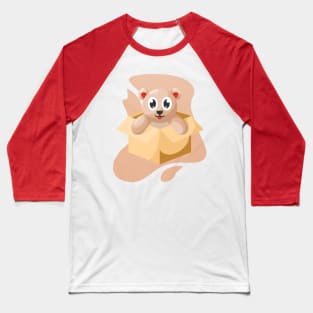 Bear in The Box Baseball T-Shirt